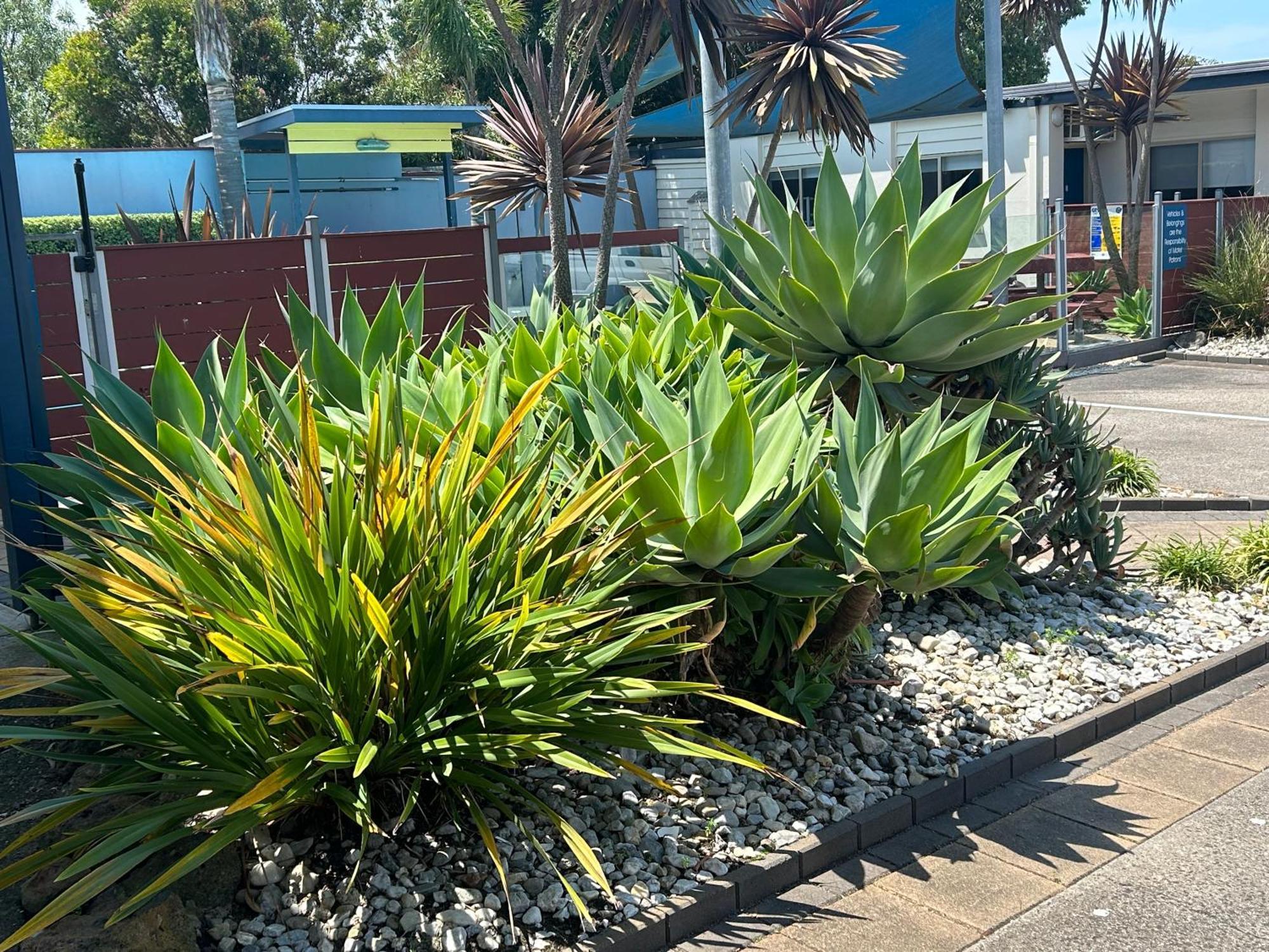 Portarlington Beach Motel Екстер'єр фото